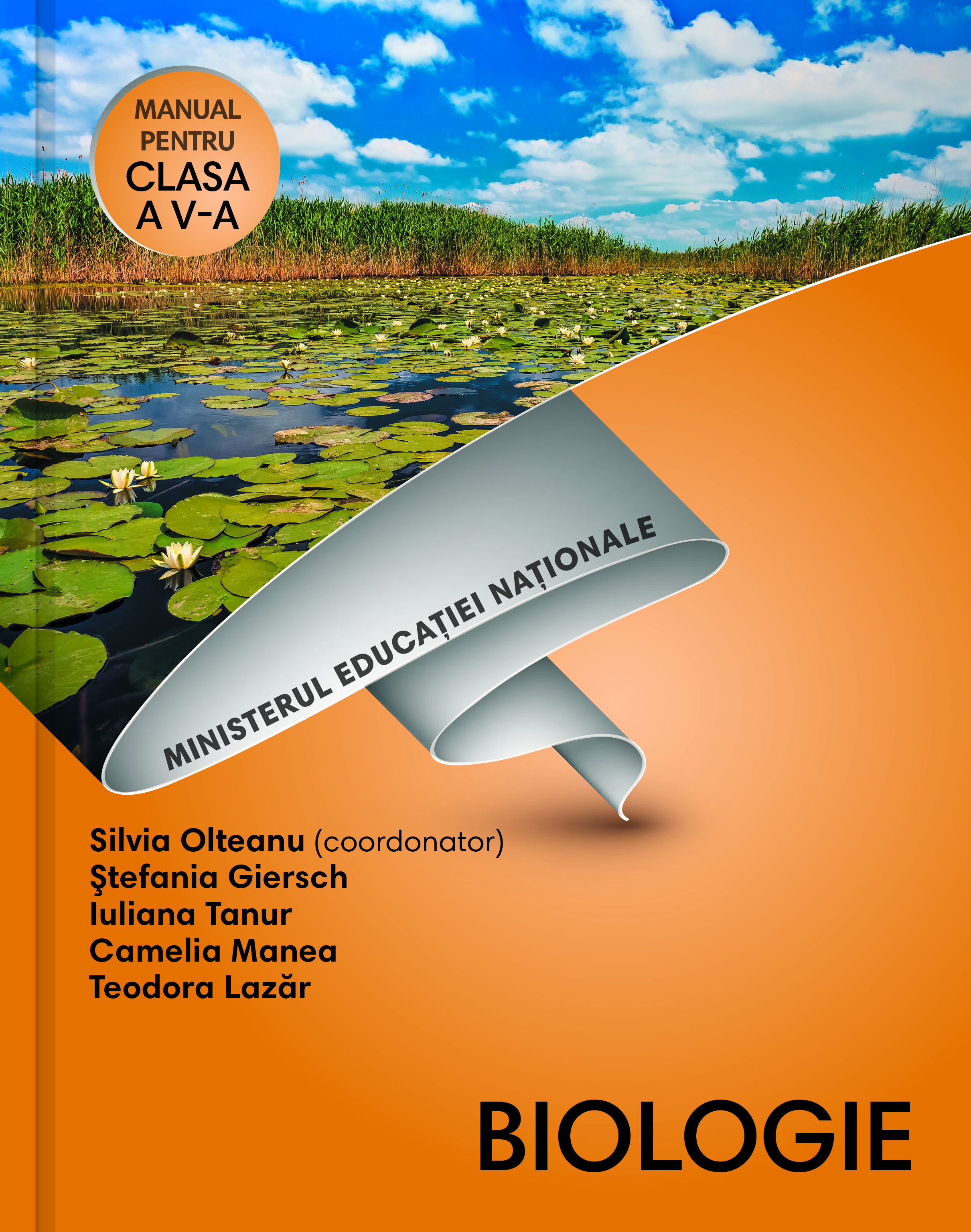 online education and social justice in a digital age