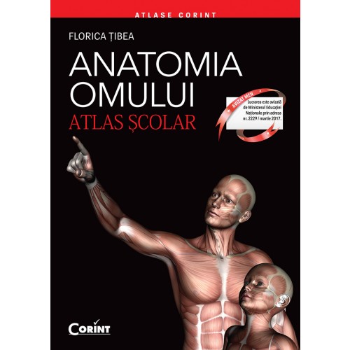 Anatomia omului. Atlas şcolar